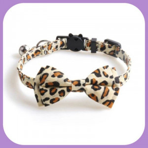 Collar-224